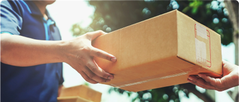 Lorem ipsum dolor sit amet 6